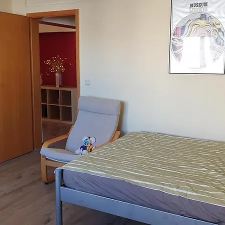 Apartment Grosszuegige, Helle Mit Gartennutzung Giessen
